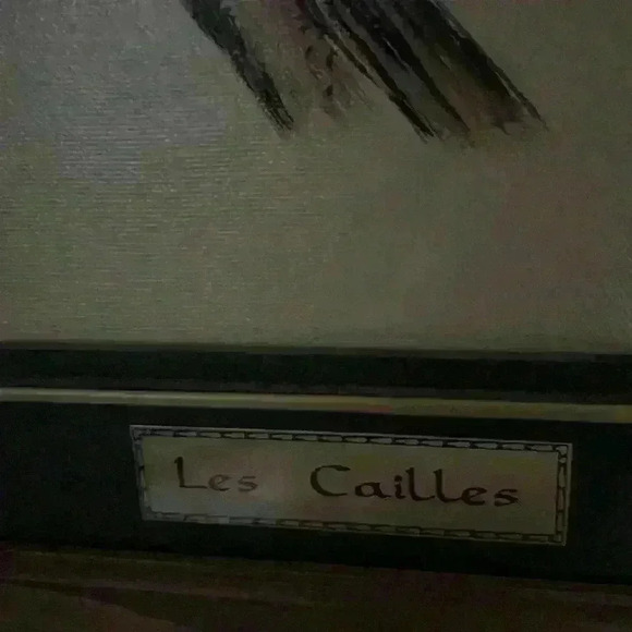 Original Oil Painting. Framed and signed with  plaque.🦤🐦 - Picture 2 of 4